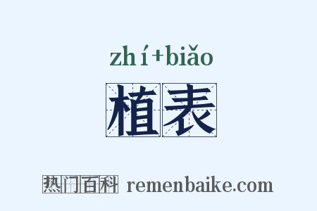 植表是什么意思的图片